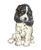 k9kapers puppy training