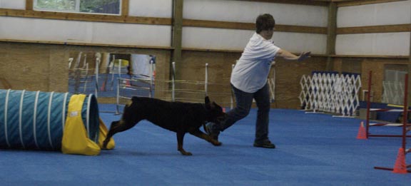Agility Training